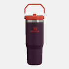 THE ICEFLOW FLIP STRAW TUMBLER | 0.89 L כוס עם קשית